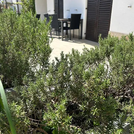 Materada Donato * פורץ