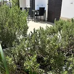 Materada Donato * Πόρετς